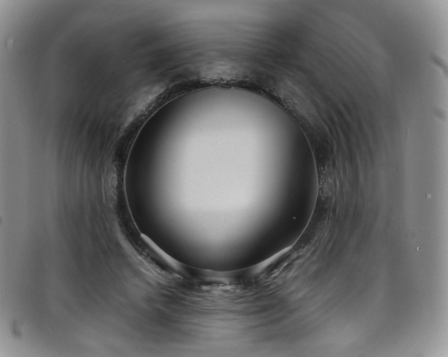 X0000098220448200804241348