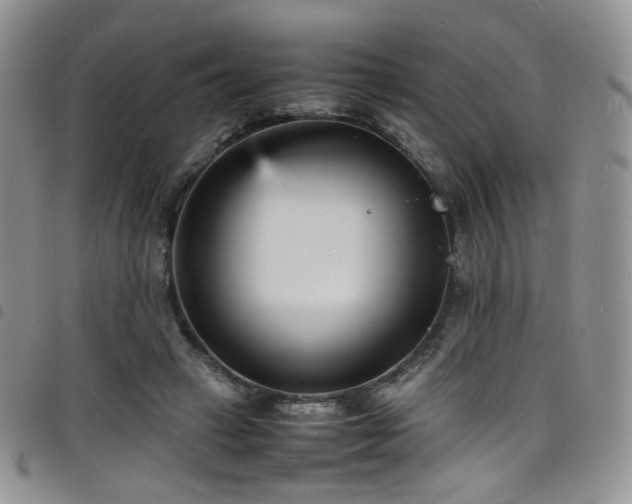 X0000098220449200804241348