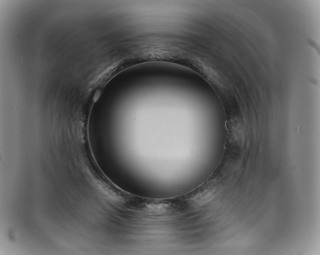 X0000098220450200804241348