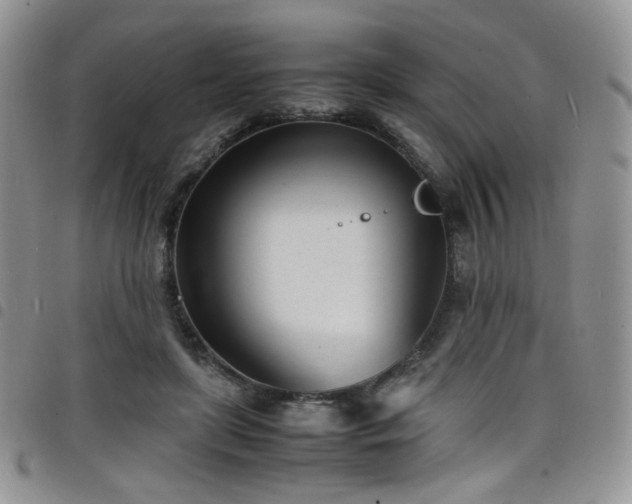 X0000098220451200804241348