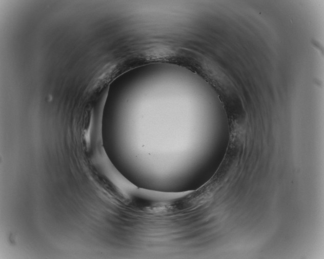 X0000098220452200804241348
