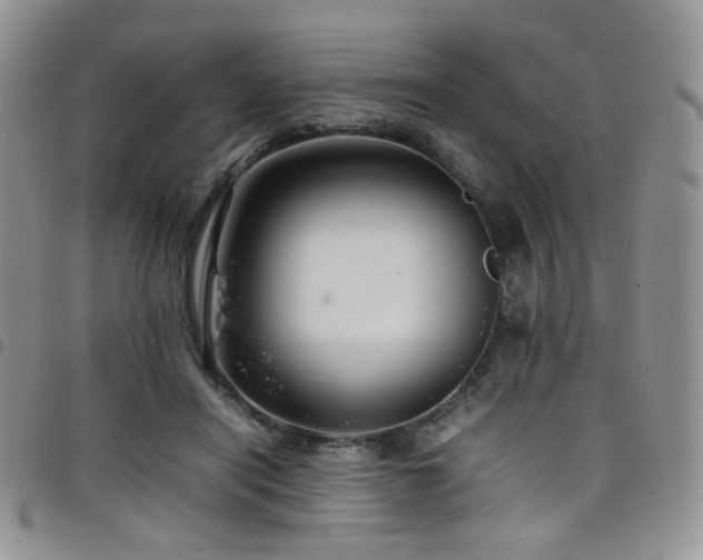 X0000098220454200804241348