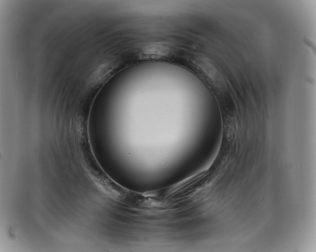 X0000098220455200804241348