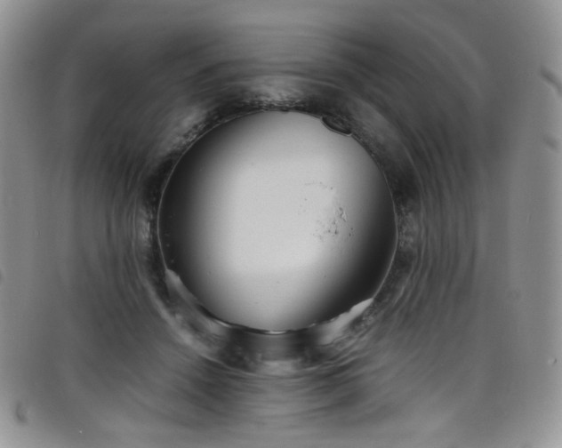 X0000098220456200804241348