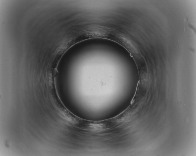 X0000098220457200804241348