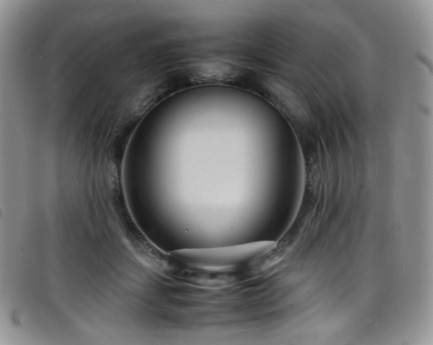 X0000098220459200804241348