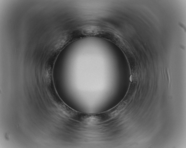 X0000098220460200804241348