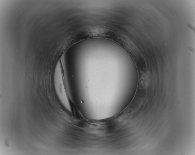 X0000098220461200804241348