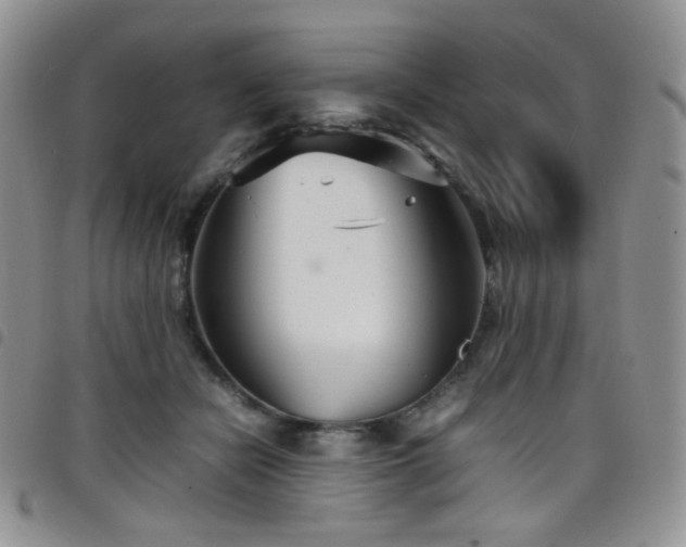 X0000098220462200804241348