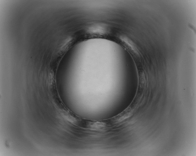 X0000098220463200804241348