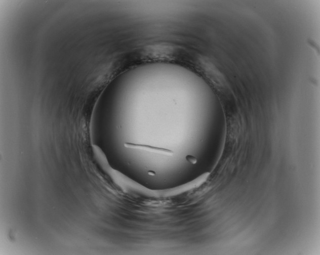 X0000098220465200804241348