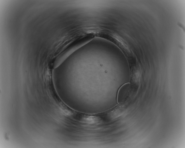 X0000098220467200804241348