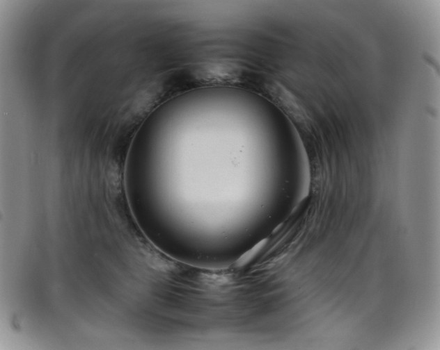 X0000098220469200804241348