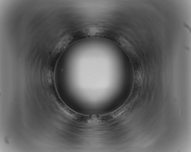 X0000098220470200804241348