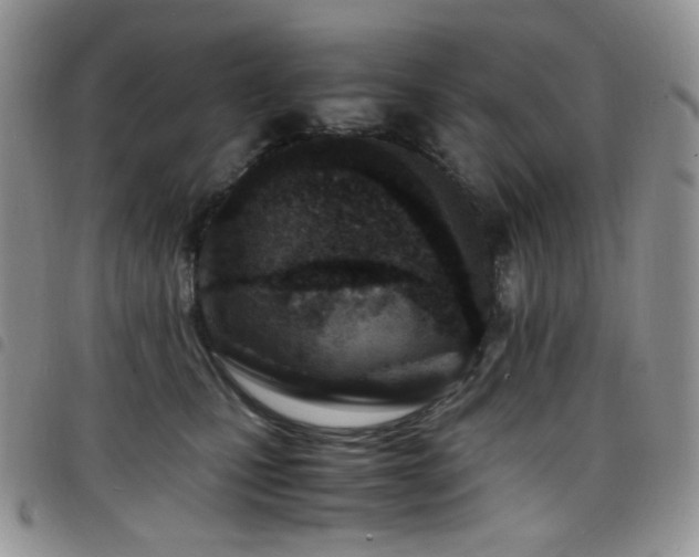 X0000098220471200804241348