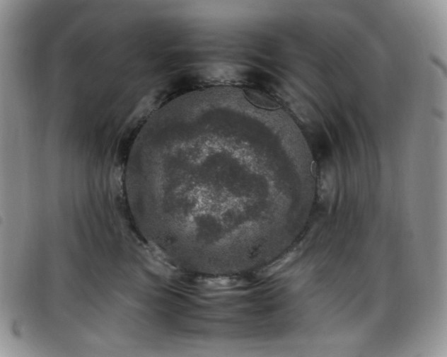 X0000098220473200804241348