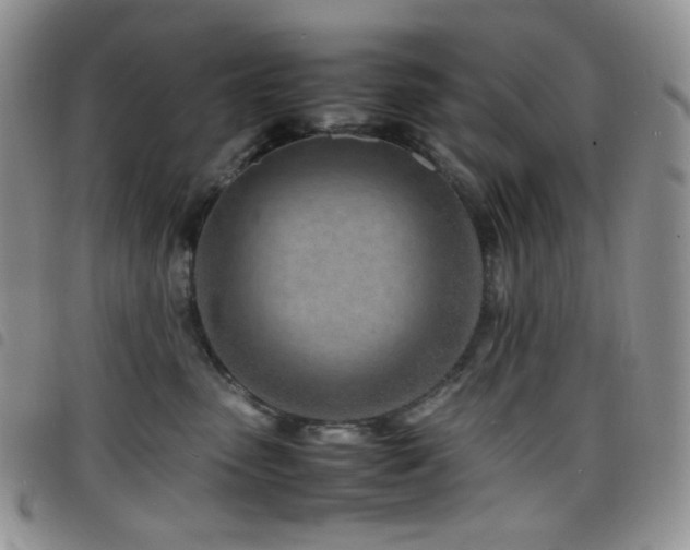X0000098220475200804241348