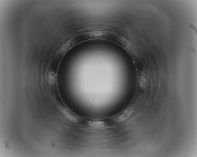 X0000098220476200804241348