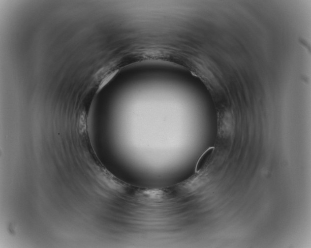 X0000098220478200804241348