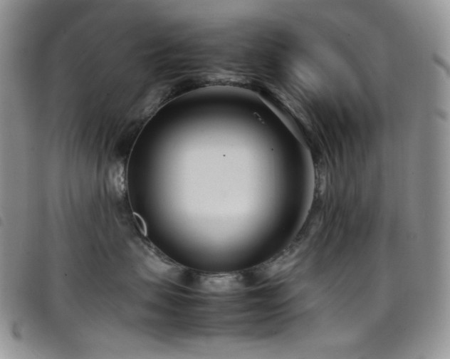 X0000098220479200804241348