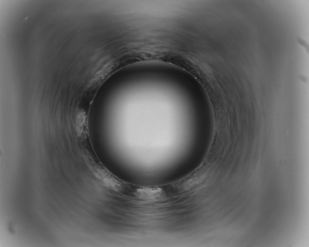 X0000098220480200804241348