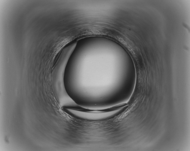 X0000098220481200804241347