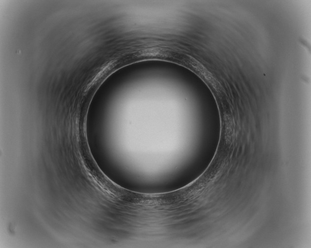 X0000098220482200804241347