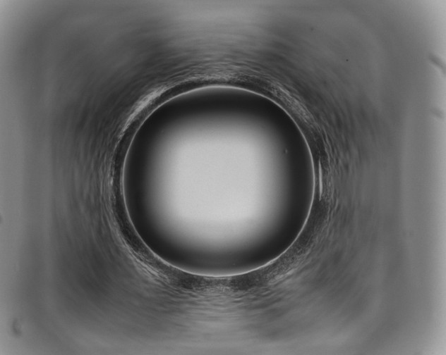 X0000098220483200804241347