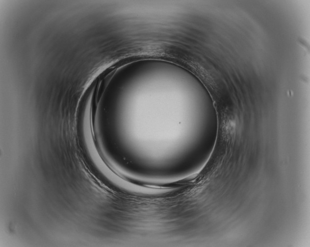 X0000098220484200804241347