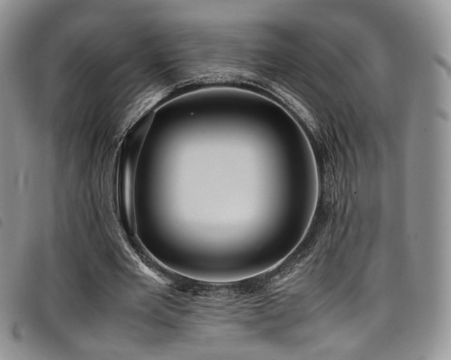 X0000098220485200804241347