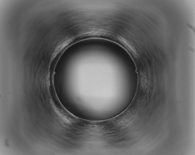 X0000098220486200804241347
