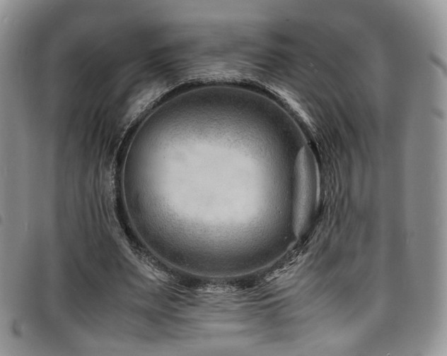 X0000098220487200804241347