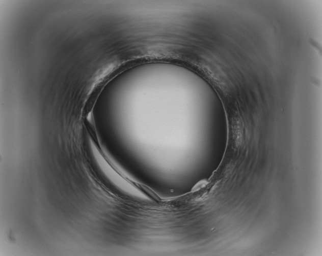 X0000098220488200804241347