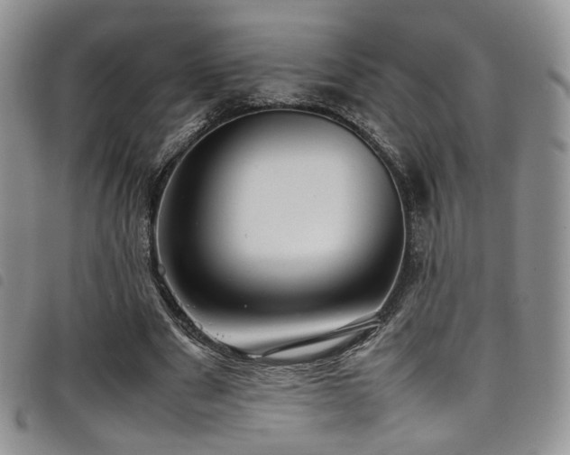 X0000098220489200804241347