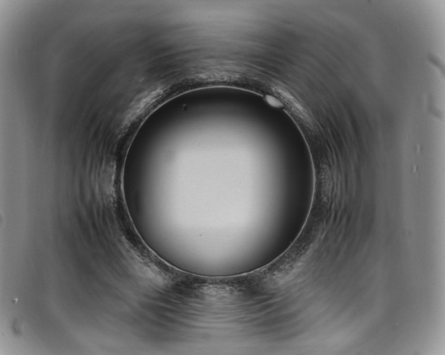 X0000098220490200804241347