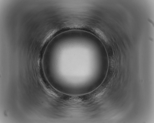 X0000098220491200804241347