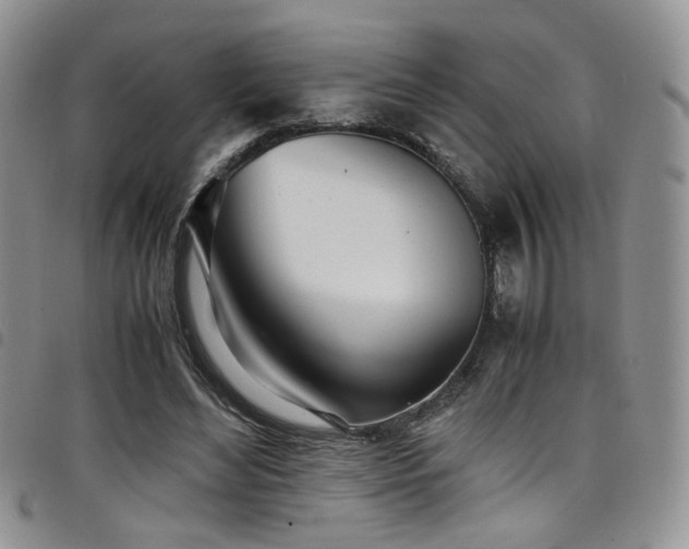 X0000098220492200804241347