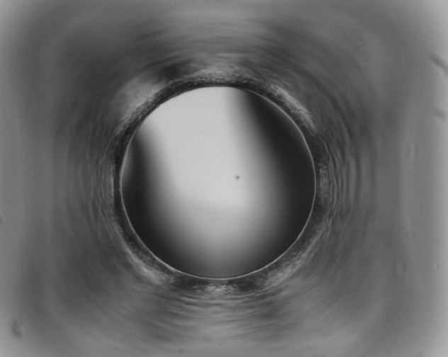 X0000098220493200804241347