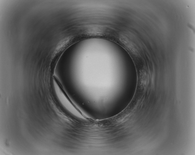 X0000098220494200804241347