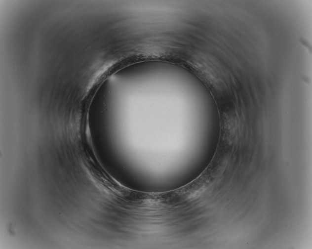X0000098220496200804241347