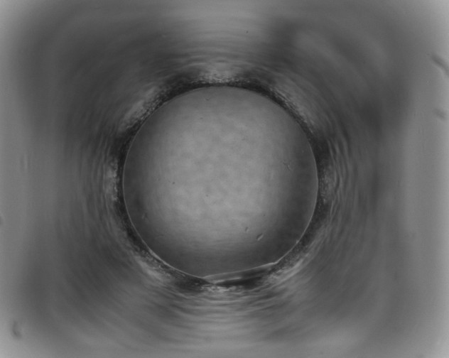 X0000098220497200804241347