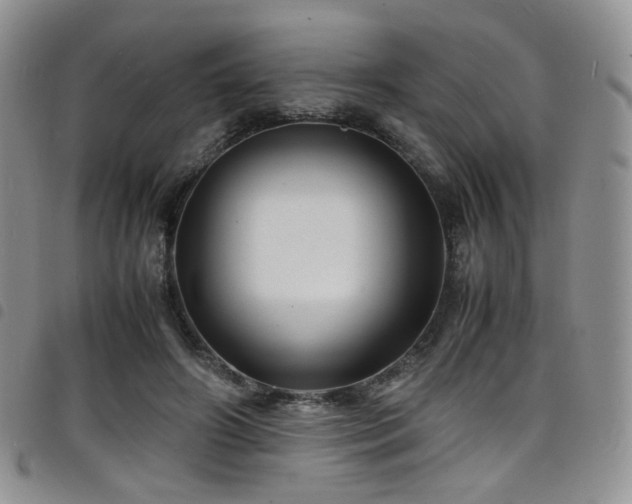 X0000098220498200804241347