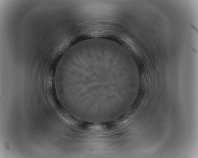 X0000098220499200804241347
