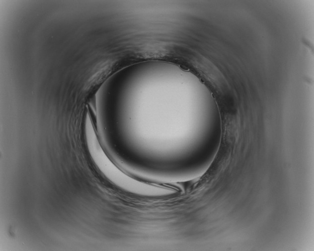 X0000098220501200804241347
