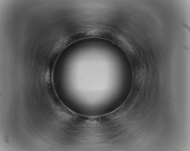 X0000098220502200804241347