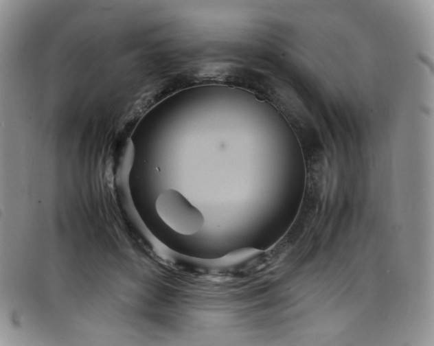 X0000098220504200804241347