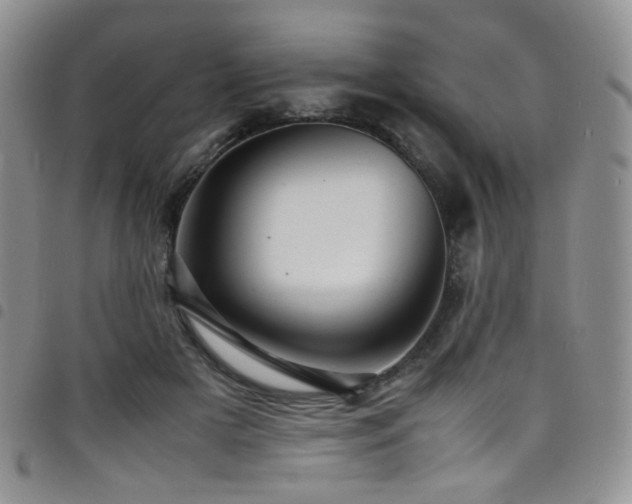 X0000098220505200804241347