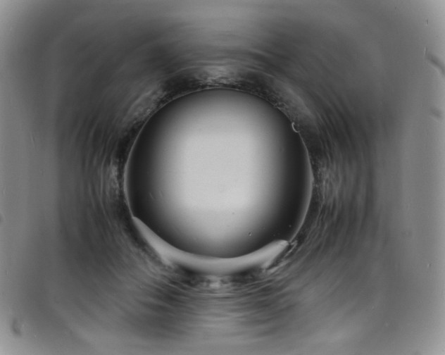 X0000098220506200804241347