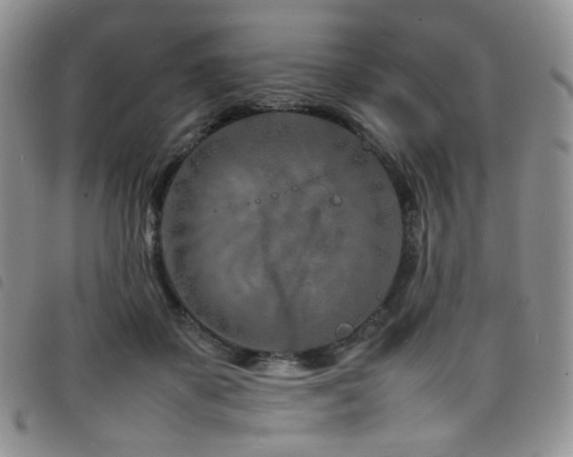 X0000098220507200804241347
