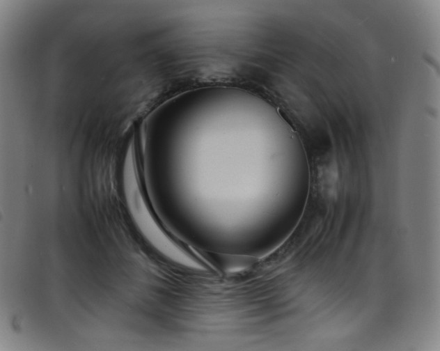 X0000098220508200804241347